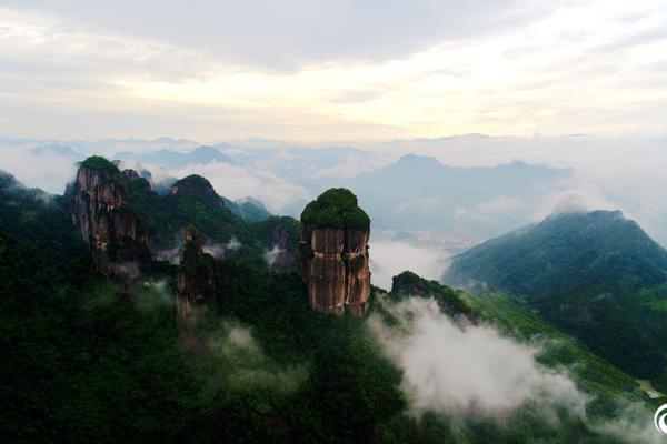 洋蔥去味除甲醛嗎