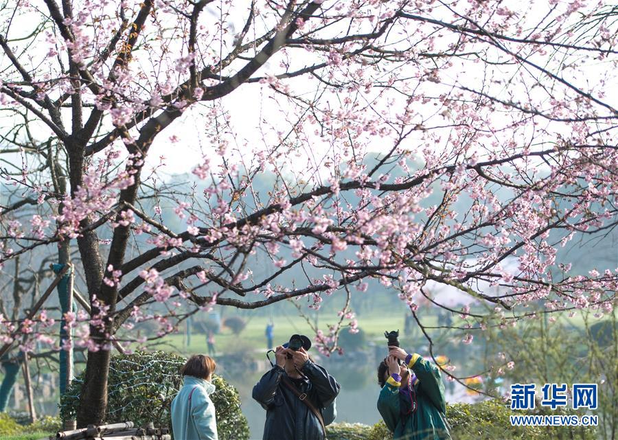 美國“龍”飛船載停留空間站宇航員回來地球