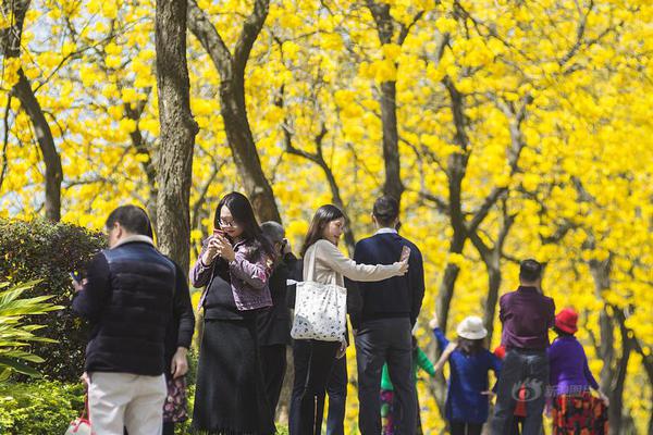 歐盟與敘新政權(quán)著重避免恐怖主義在敘東山再起