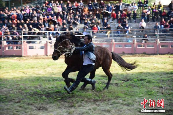 我國鐵路建造高效推動 為經(jīng)濟平穩(wěn)運轉(zhuǎn)供給支撐