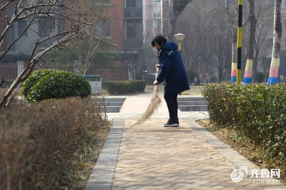 松茸是野生的還是人工種的