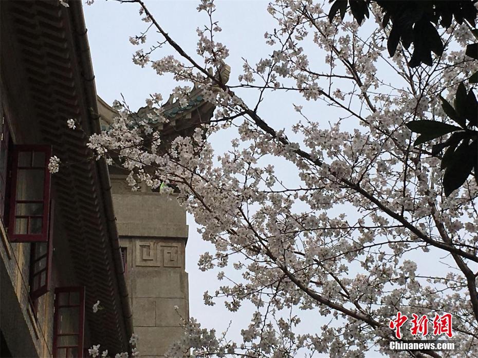 橫店炮王霍建華什么梗