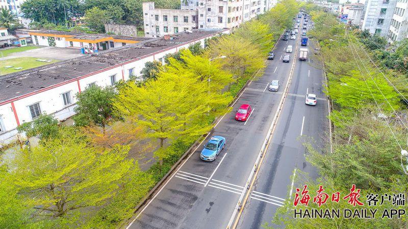 世界移民安排：海地暴力抵觸致顛沛流離人數(shù)創(chuàng)單月最高紀(jì)錄